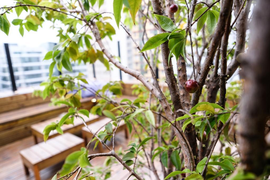 Bê Hotel São Paulo Ngoại thất bức ảnh